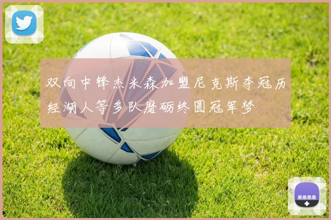 双向中锋杰米森加盟尼克斯夺冠历经湖人等多队磨砺终圆冠军梦