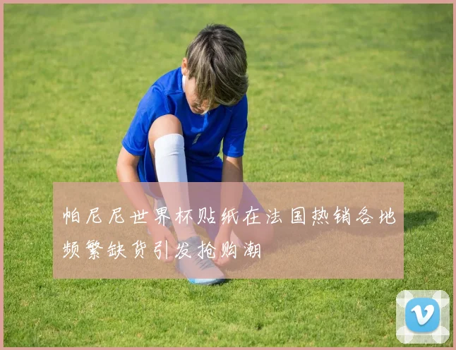 帕尼尼世界杯贴纸在法国热销各地频繁缺货引发抢购潮