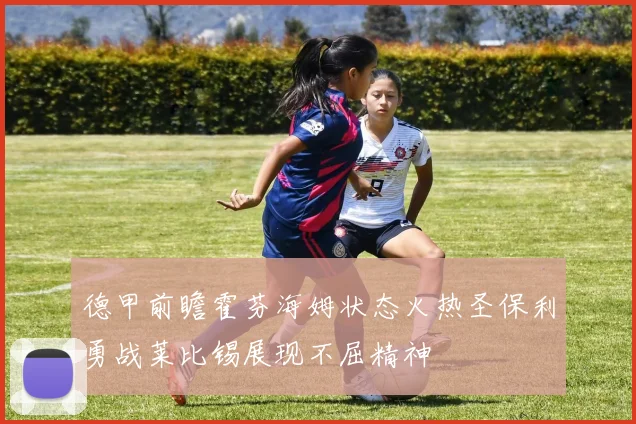 德甲前瞻霍芬海姆状态火热圣保利勇战莱比锡展现不屈精神